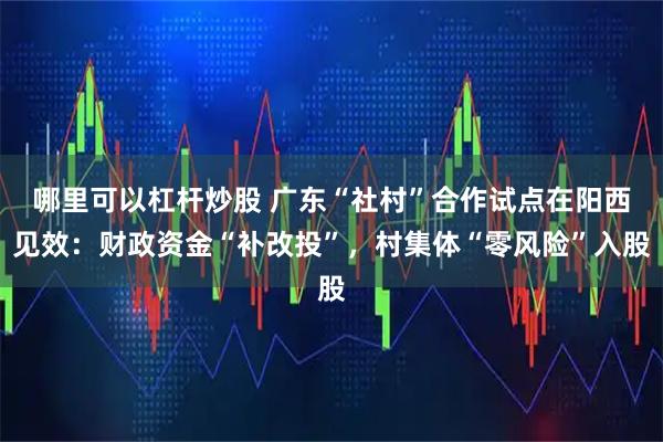 哪里可以杠杆炒股 广东“社村”合作试点在阳西见效:财政资金“补改投”,村集体“零风险”入股