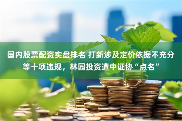 国内股票配资实盘排名 打新涉及定价依据不充分等十项违规，林园投资遭中证协“点名”