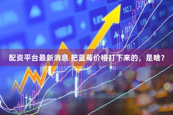 配资平台最新消息 把蓝莓价格打下来的，是啥？