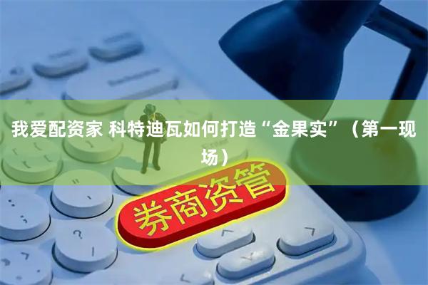 我爱配资家 科特迪瓦如何打造“金果实”（第一现场）